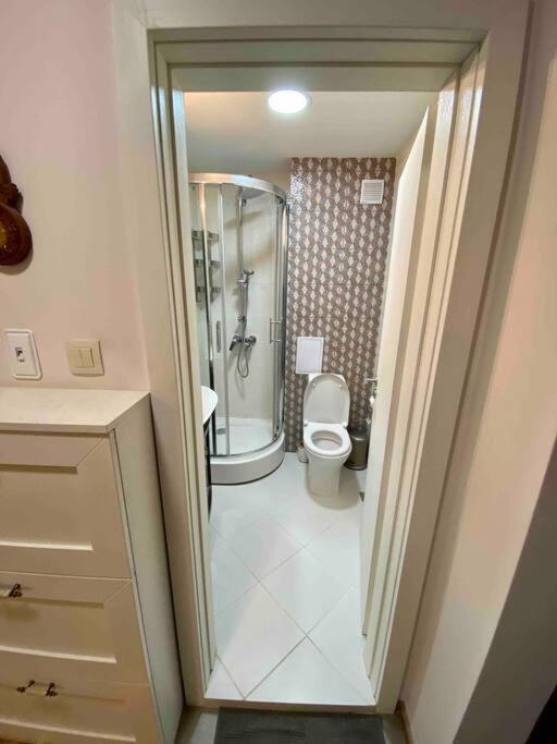 Stylish Magenta Apartment - Terrace & Free Parking โซเฟีย ภายนอก รูปภาพ